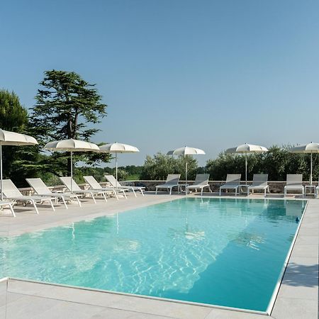 Verdeolivo 1876 - Apartments & Pool Mezzane di Sotto ภายนอก รูปภาพ