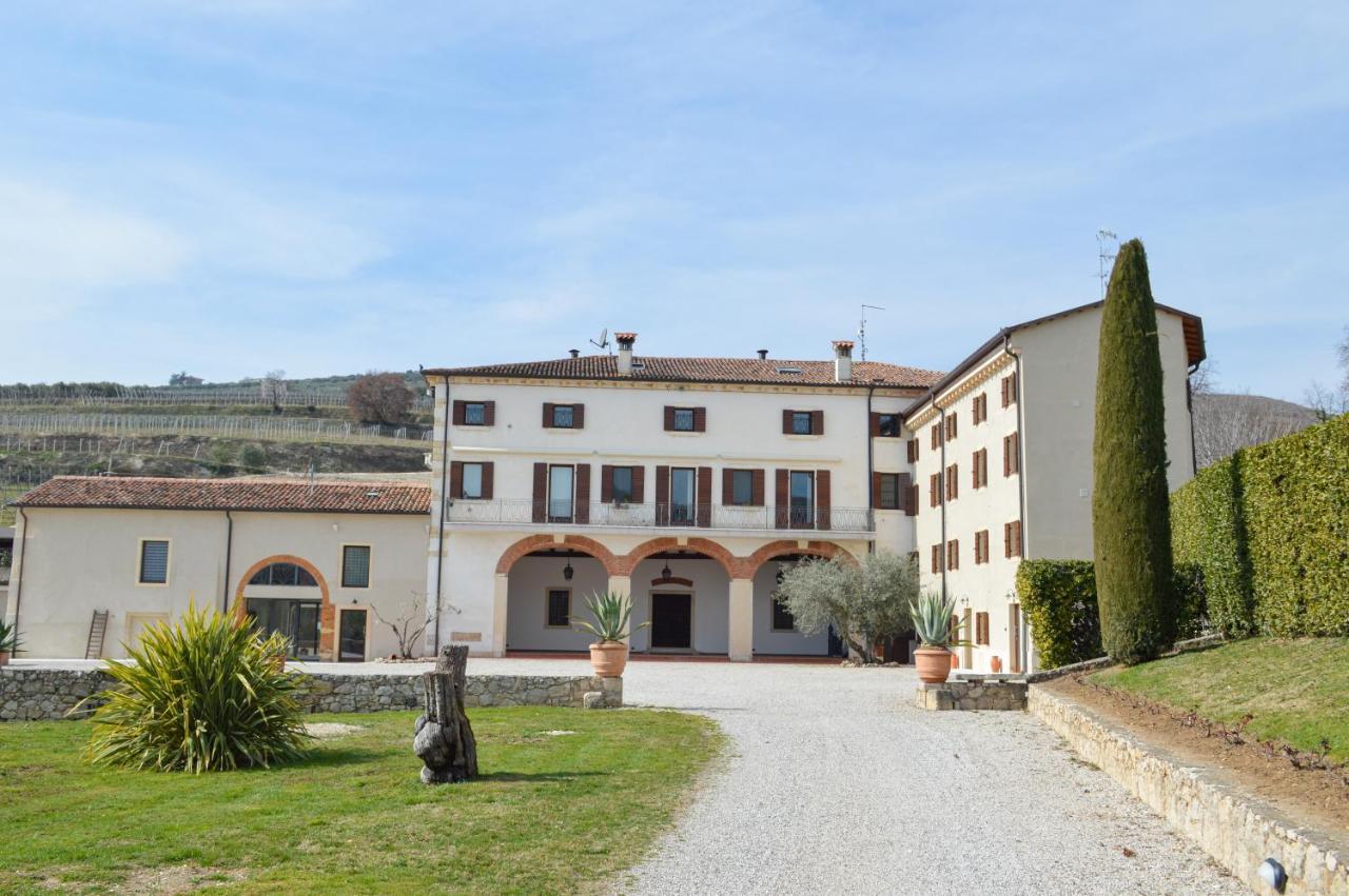 Verdeolivo 1876 - Apartments & Pool Mezzane di Sotto ภายนอก รูปภาพ